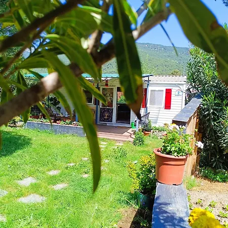 Villa Ardilla-2