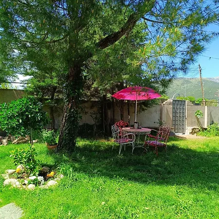 Villa Ardilla-3